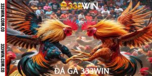 đá gà 333win